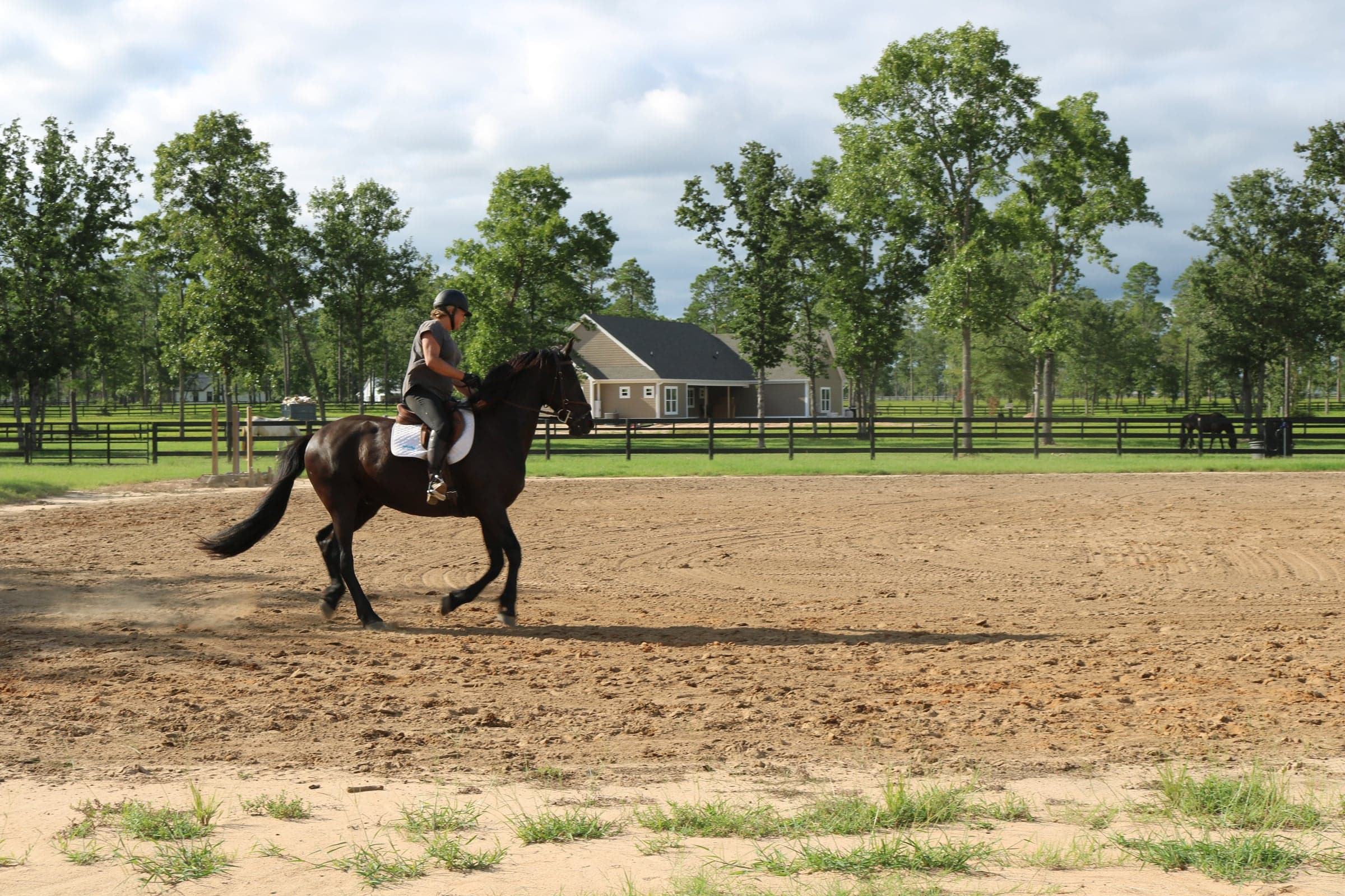 Inside a Menden Equestrian barn