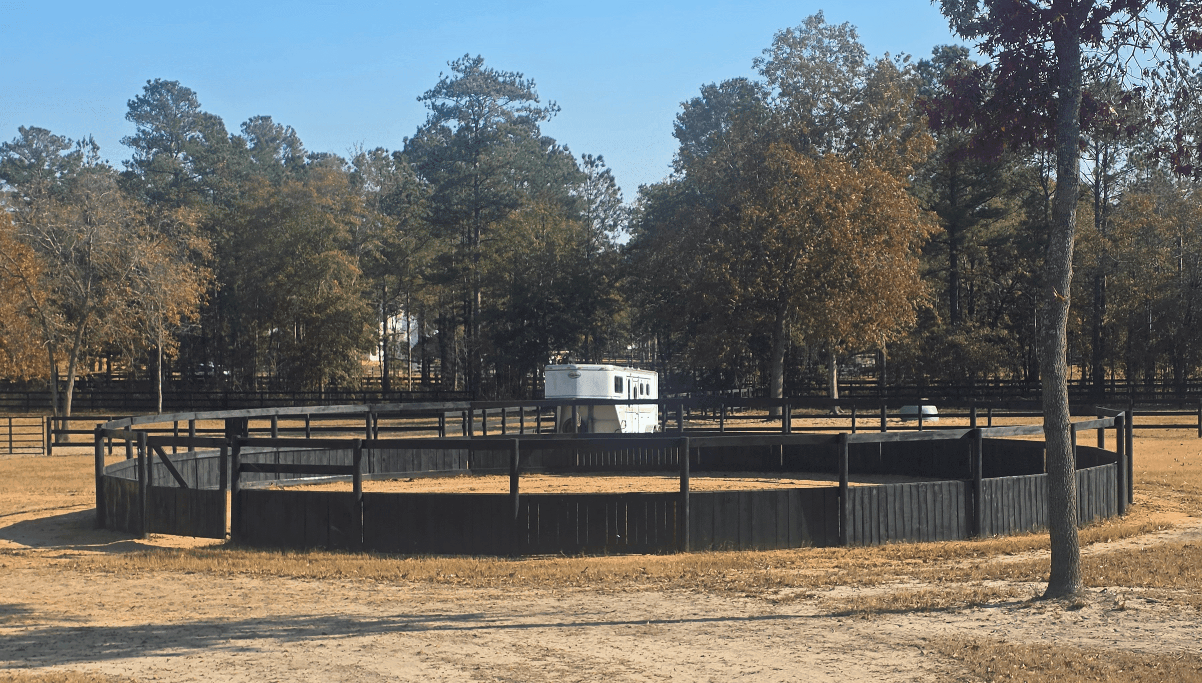 Horse training in a professional round pen