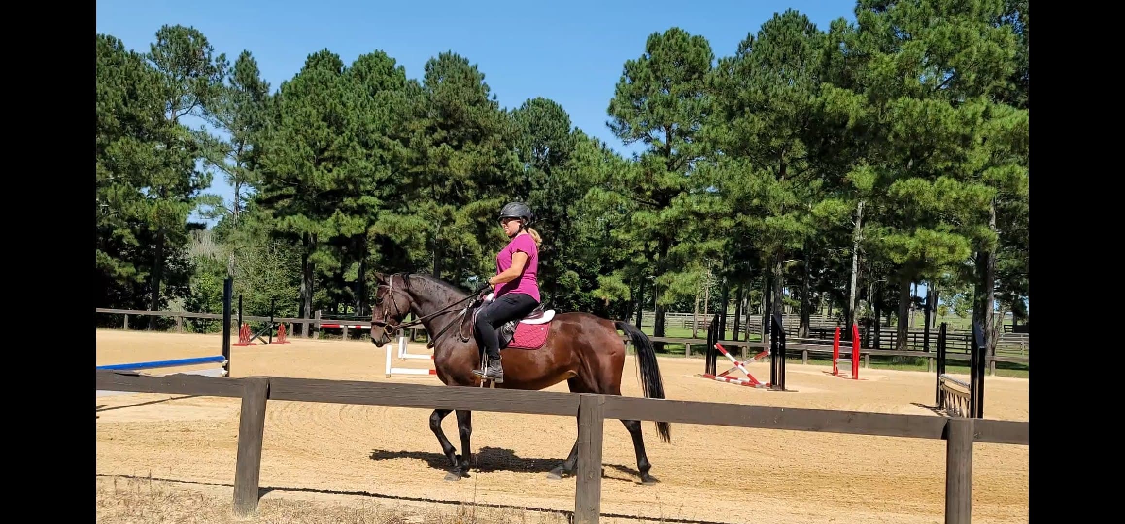 Horse and rider training across varied environments