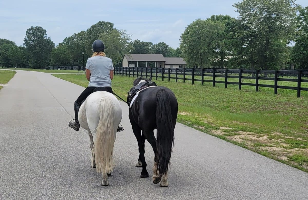 Intentional first ride training at Menden Equestrian