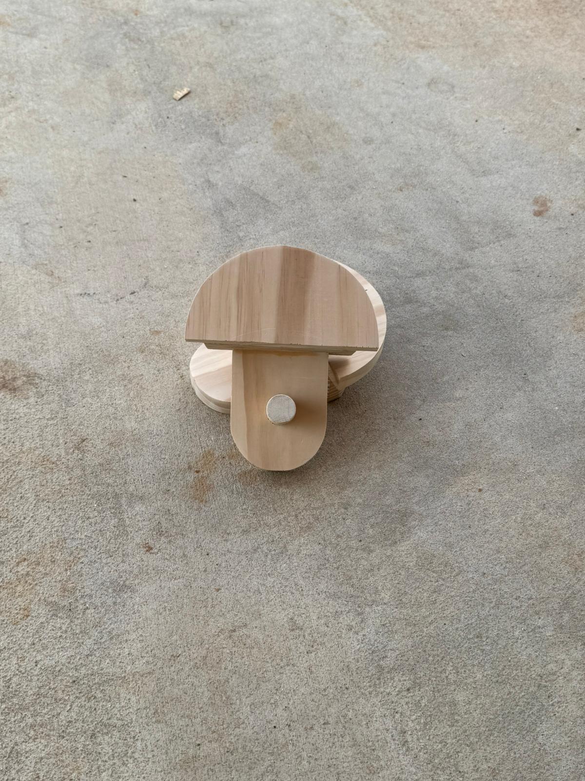 Bridle Hooks - Installed in tack room